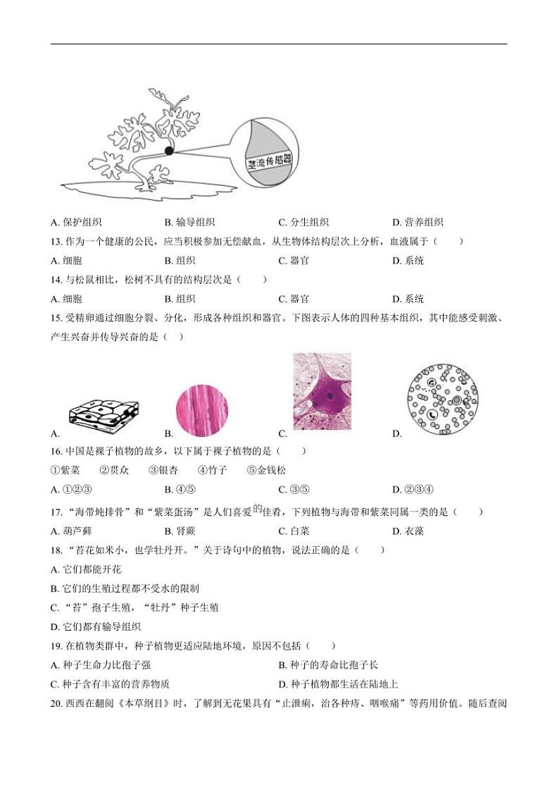 2024～2025学年广东省茂名市高州市十二校联考(月考)七年级上12月月考生物试卷(含答案)第3页