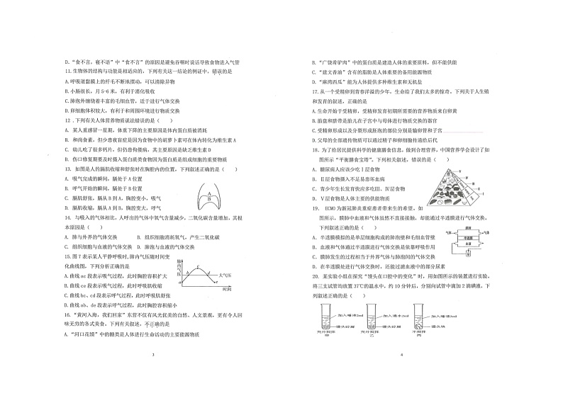 山东省东营市广饶县乐安中学2024-2025学年七年级11月期中-生物第2页