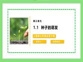 【核心素养目标】人教版初中生物七年级下册3.1.1《种子的萌发》 课件+视频+教学设计+同步分层练习（含答案)