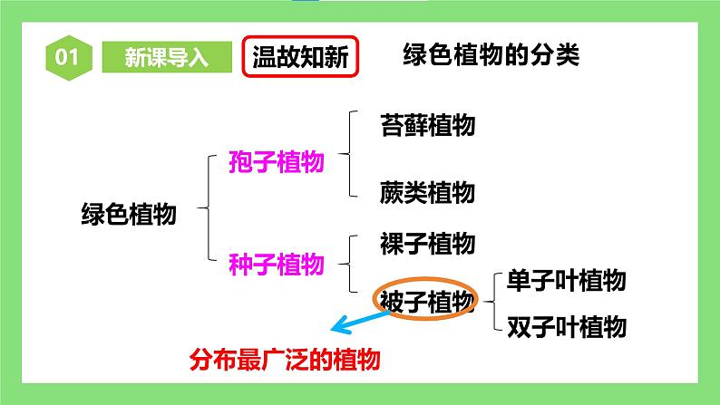 人教版初中生物七年级下册3.1.1《种子的萌发》课件第3页