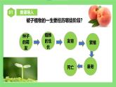 【核心素养目标】人教版初中生物七年级下册3.1.1《种子的萌发》 课件+视频+教学设计+同步分层练习（含答案)