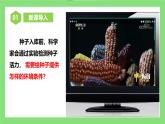 【核心素养目标】人教版初中生物七年级下册3.1.1《种子的萌发》 课件+视频+教学设计+同步分层练习（含答案)