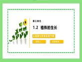 【核心素养目标】人教版初中生物七年级下册3.1.2《植株的生长》 课件+视频+教学设计+同步分层练习（含答案)