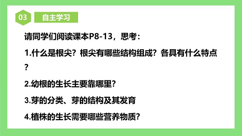 人教版初中生物七年级下册3.1.2《植株的生长》课件第6页