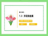 【核心素养目标】人教版初中生物七年级下册3.1.3《开花和结果》 课件+视频+教学设计+同步分层练习（含答案)