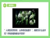 【核心素养目标】人教版初中生物七年级下册3.1.3《开花和结果》 课件+视频+教学设计+同步分层练习（含答案)