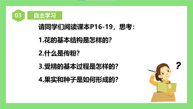 人教版初中生物七年级下册3.1.3《开花和结果》课件第5页