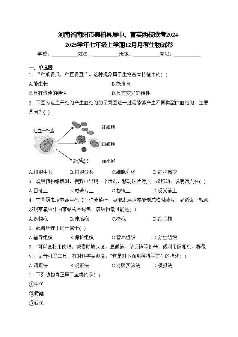 河南省南阳市桐柏县晨中、育英两校联考2024-2025学年七年级上学期12月月考生物试卷(含答案)第1页