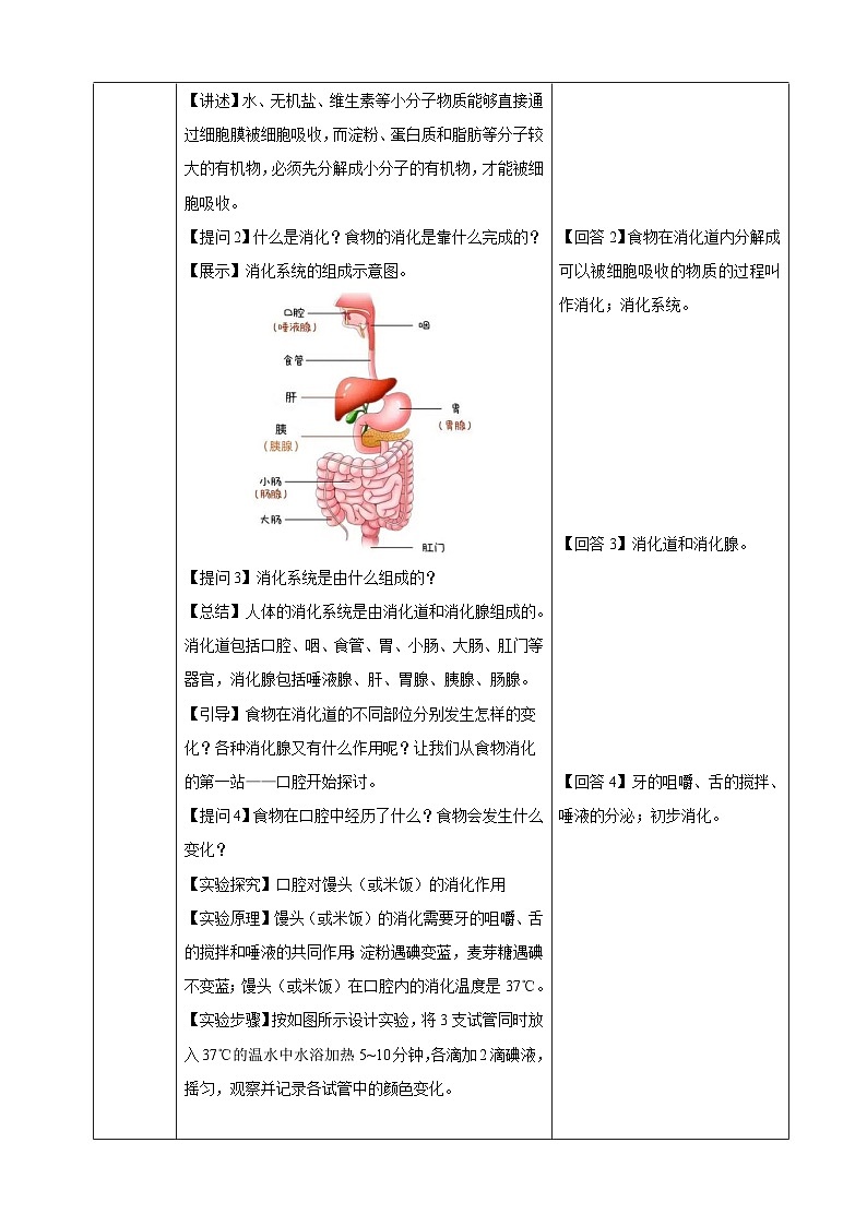 4.2.2 消化和吸收(教学设计)-2024-2025学年人教版(2024)生物七年级下册第2页