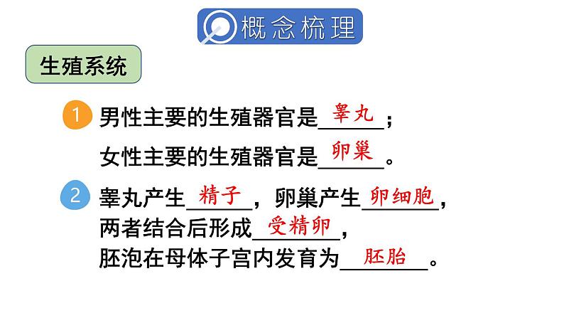 第四单元 人体生理与健康（一）单元小结 (课件)-2024-2025学年人教版(2024)生物七年级下册第3页