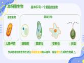 初中  生物  人教版（2024）  七年级上册（2024） 第四节 单细胞生物 课件