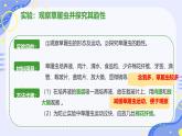 初中  生物  人教版（2024）  七年级上册（2024） 第四节 单细胞生物 课件