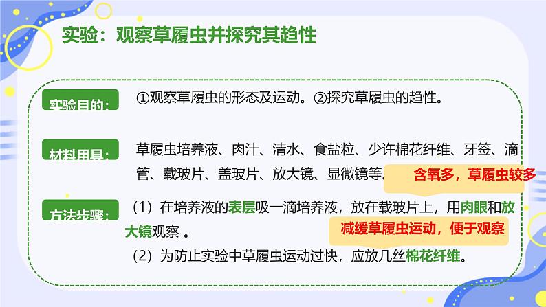 初中  生物  人教版（2024）  七年级上册（2024） 第四节 单细胞生物 课件第5页