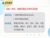 初中  生物  人教版（2024）  七年级上册（2024） 第四节 单细胞生物 课件