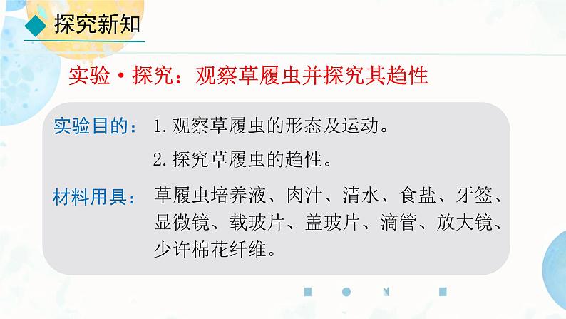 初中  生物  人教版（2024）  七年级上册（2024） 第四节 单细胞生物 课件第4页