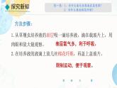 初中  生物  人教版（2024）  七年级上册（2024） 第四节 单细胞生物 课件