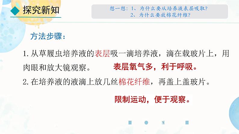 初中  生物  人教版（2024）  七年级上册（2024） 第四节 单细胞生物 课件第5页