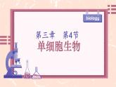 初中  生物  人教版（2024）  七年级上册（2024） 第四节 单细胞生物 课件