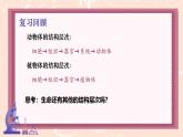 初中  生物  人教版（2024）  七年级上册（2024） 第四节 单细胞生物 课件