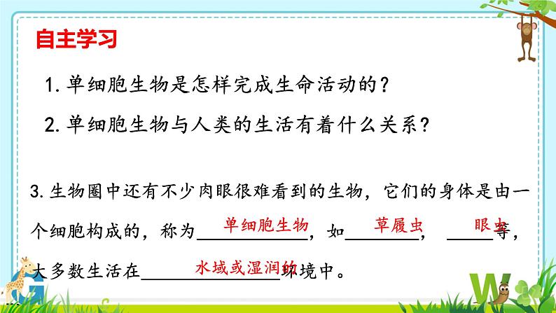 初中  生物  人教版（2024）  七年级上册（2024） 第四节 单细胞生物 课件第4页