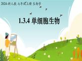 初中  生物  人教版（2024）  七年级上册（2024） 第四节 单细胞生物 课件