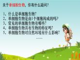 初中  生物  人教版（2024）  七年级上册（2024） 第四节 单细胞生物 课件