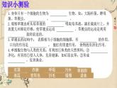 初中  生物  人教版（2024）  七年级上册（2024） 第四节 单细胞生物 课件