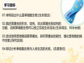 初中  生物  人教版（2024）  七年级上册（2024） 第四节 单细胞生物 课件
