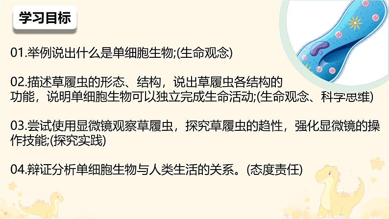 初中  生物  人教版（2024）  七年级上册（2024） 第四节 单细胞生物 课件第2页