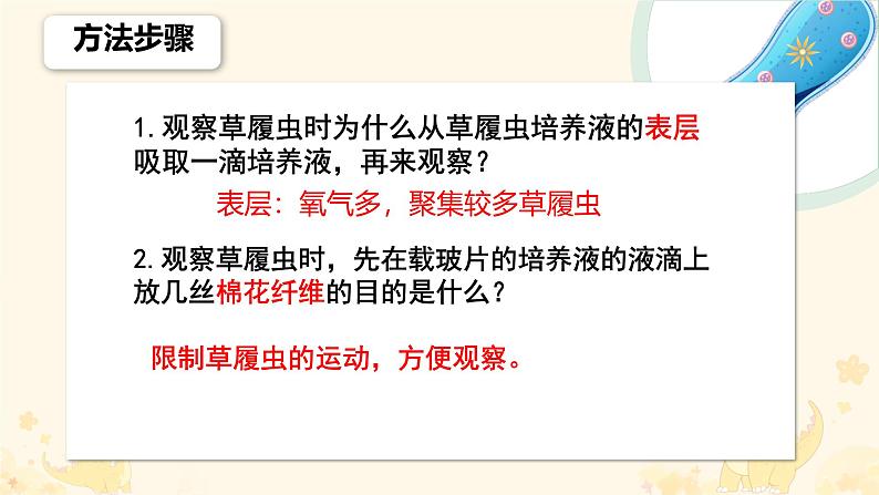 初中  生物  人教版（2024）  七年级上册（2024） 第四节 单细胞生物 课件第7页