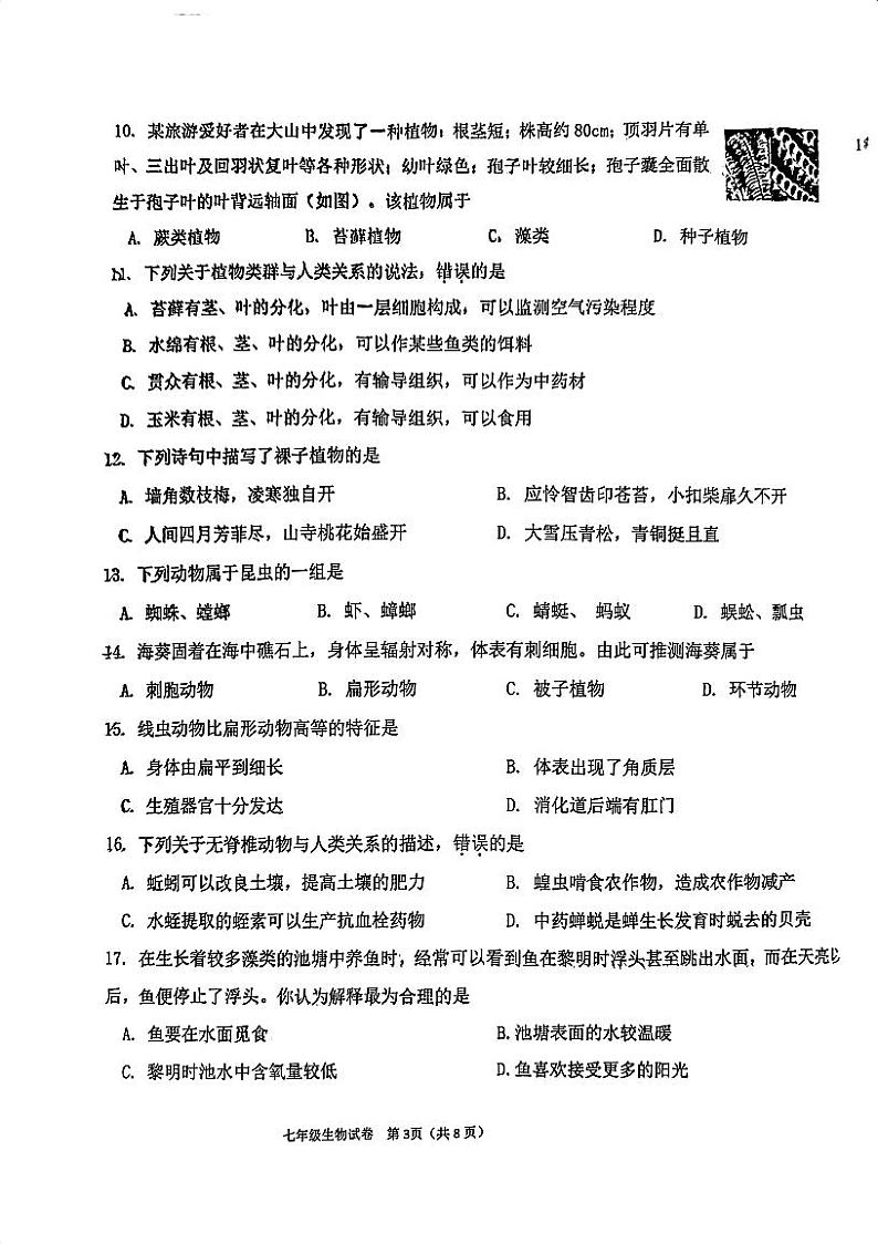 天津市国际学校2024-2025学年七年级上学期期末考试生物试卷第3页