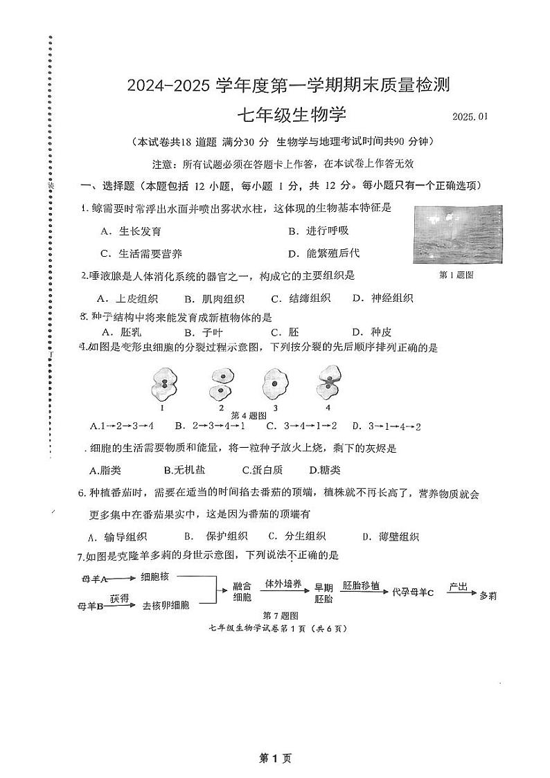 辽宁省大连市中山区2024-2025学年七年级上学期期末生物考试第1页