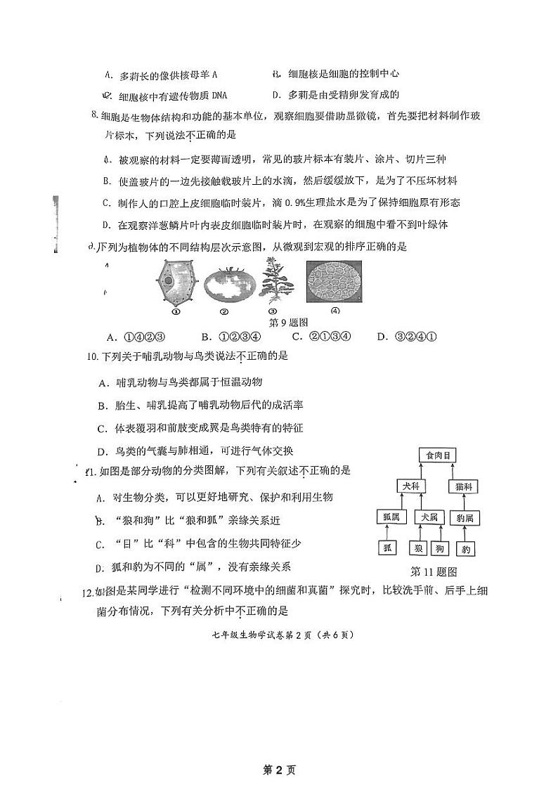 辽宁省大连市中山区2024-2025学年七年级上学期期末生物考试第2页
