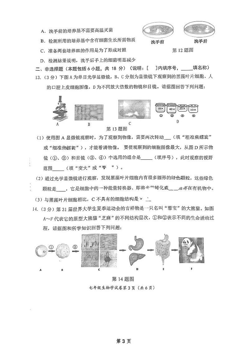 辽宁省大连市中山区2024-2025学年七年级上学期期末生物考试第3页