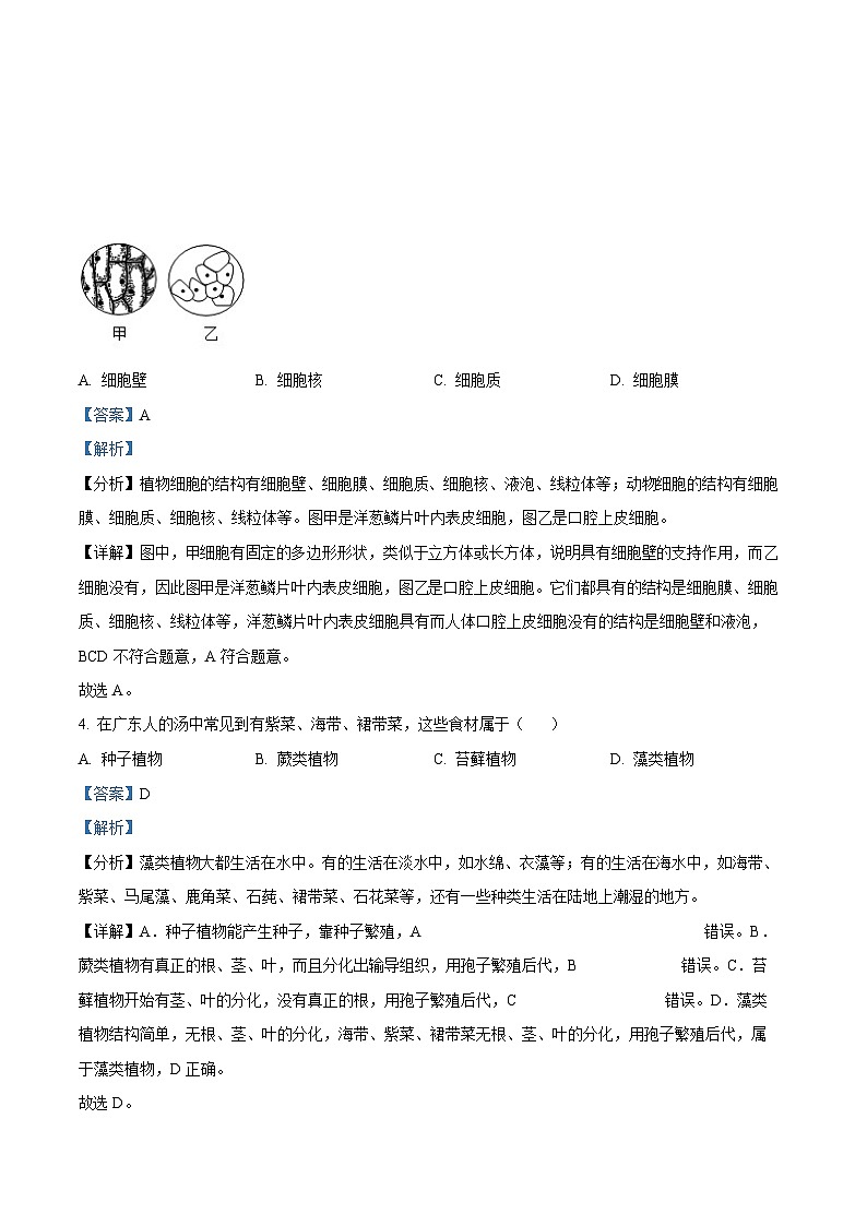 广东省广州市番禺区2023-2024学年七年级上学期期末生物试题（答案）第2页
