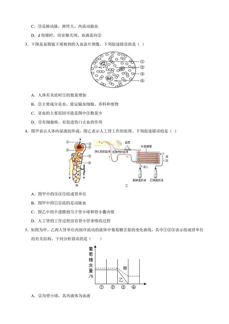 2024～2025学年八年级上生物期末模拟试卷(含解析)第2页