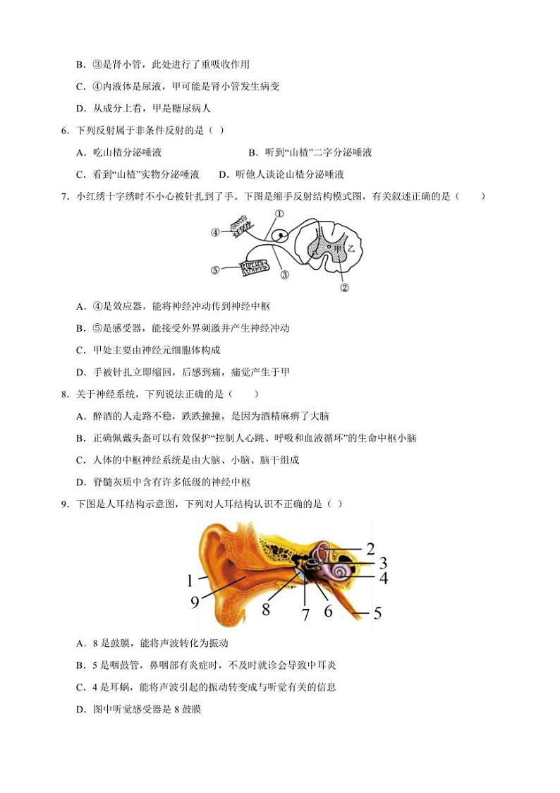 2024～2025学年八年级上生物期末模拟试卷(含解析)第3页