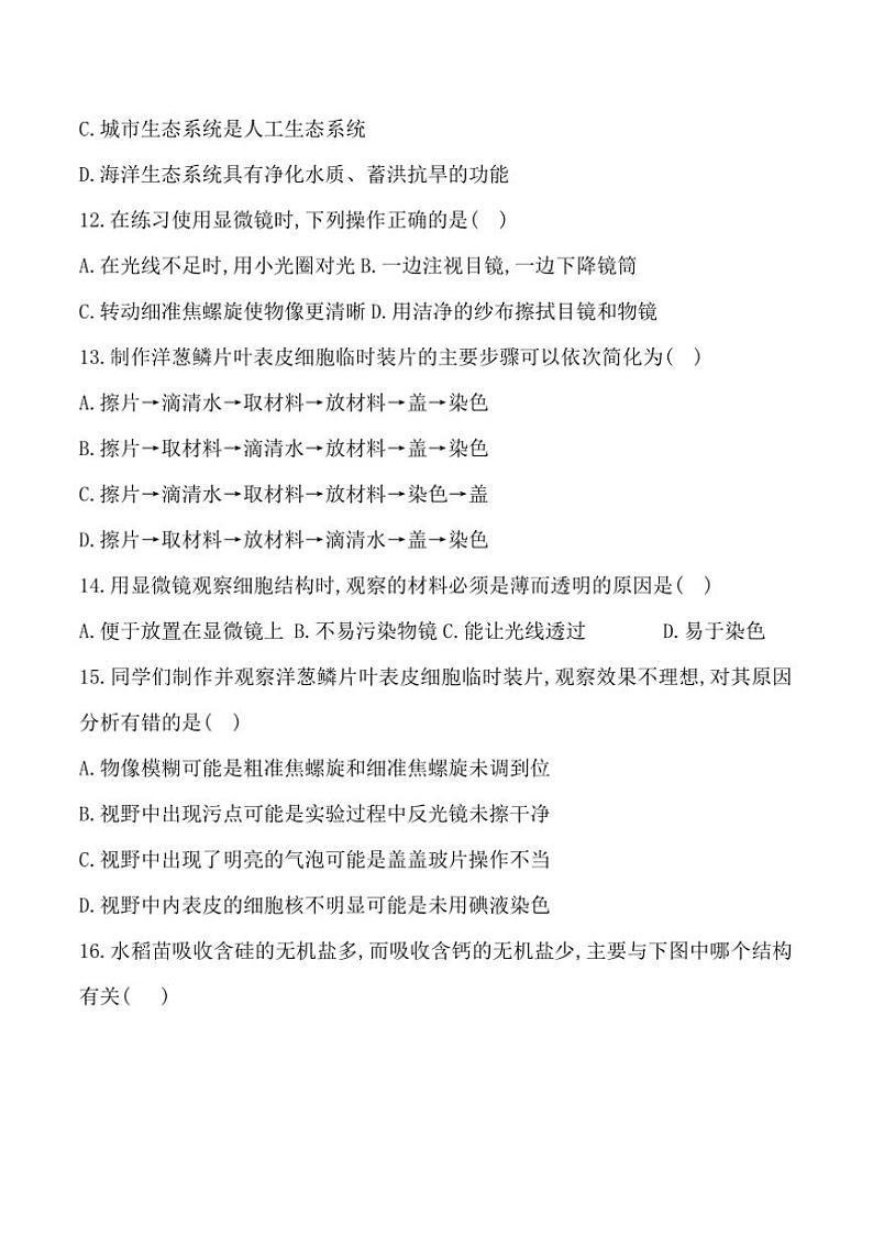 2024～2025学年贵州省黔东南州从江县宰便中学12月考七年级上生物试卷(含答案)第3页