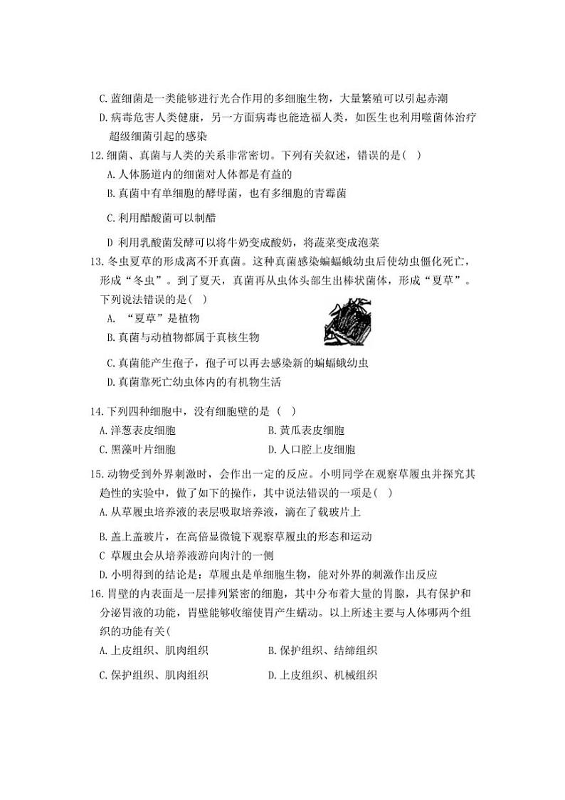 2024～2025学年黑龙江省哈尔滨市松北区七年级上期末调研生物试卷(含答案)第3页