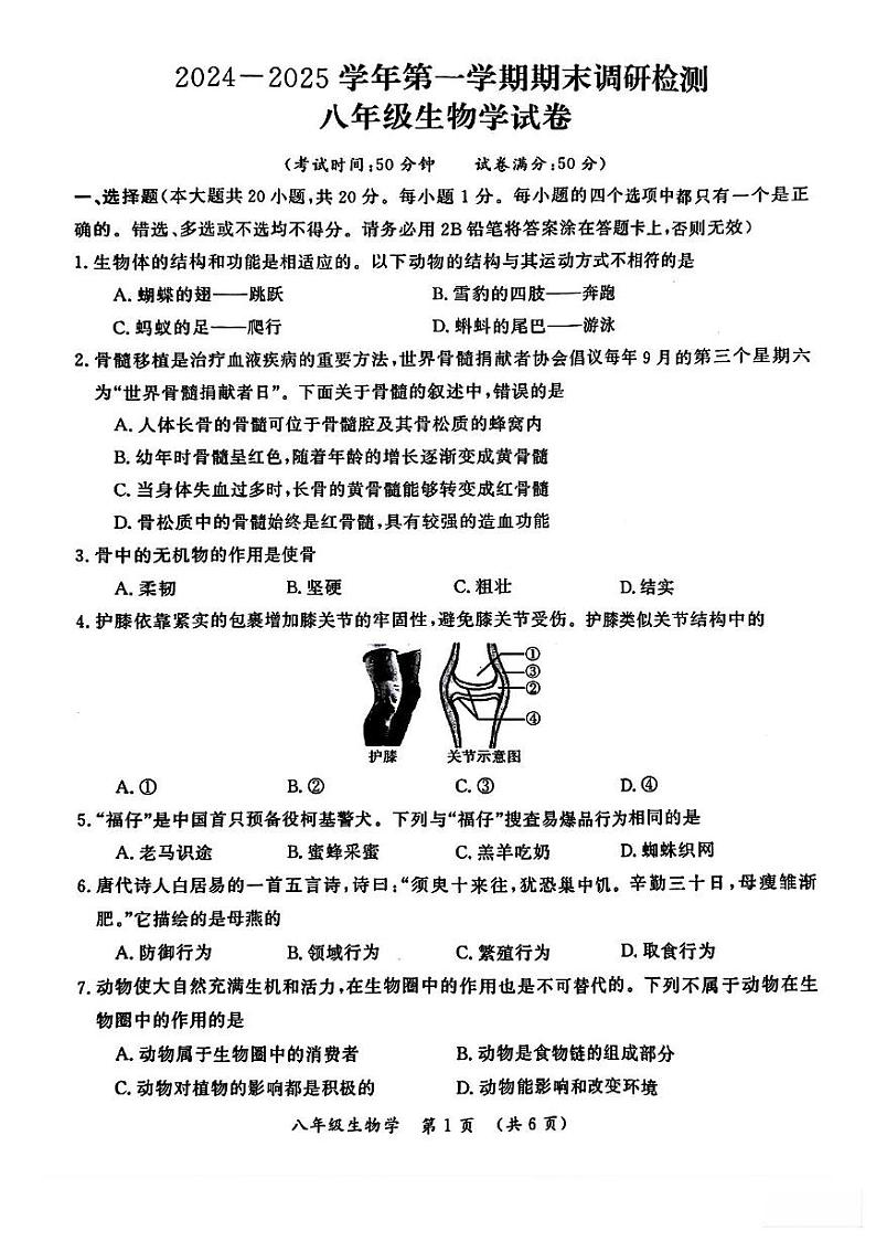 河南省开封市2024-2025学年八年级上学期期末调研检测生物试卷第1页