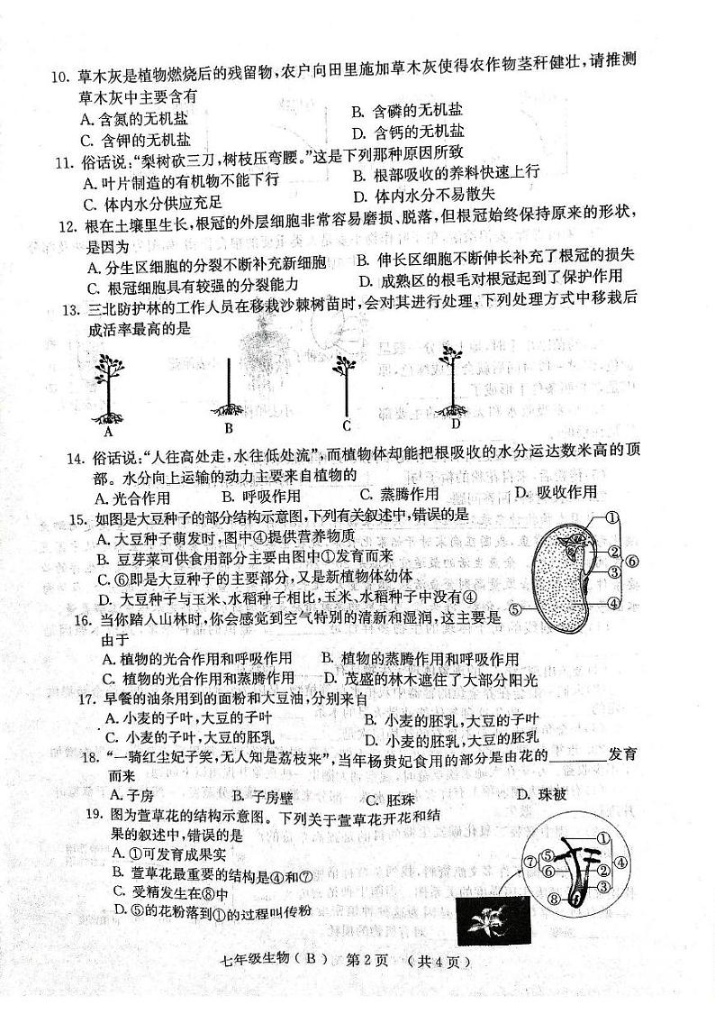 河南省林州市2024--2025学年七年级上学期期末调研生物试卷第2页
