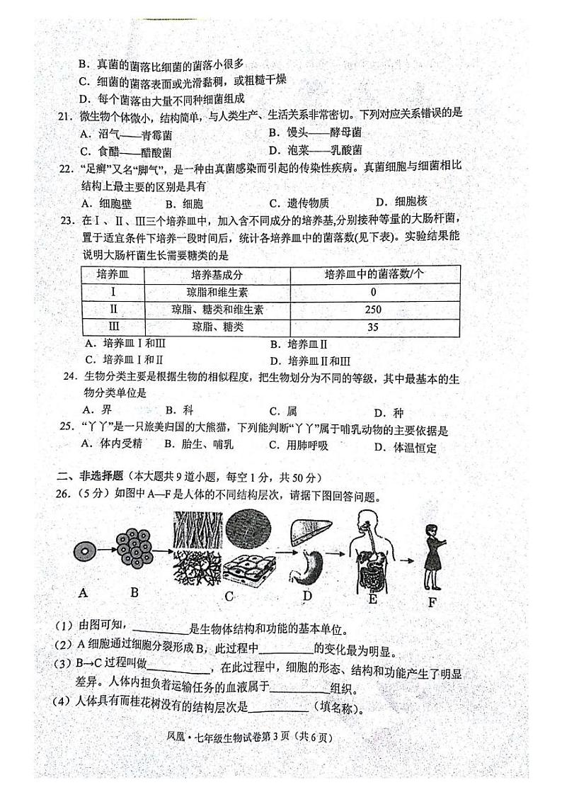 湖南省湘西自治州凤凰县2024-2025学年七年级上学期期末学情诊断生物试题卷第3页