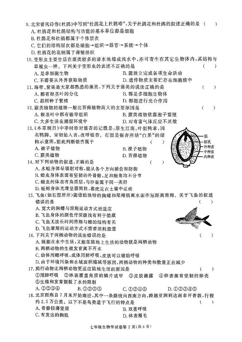 扫描件_七年级学业水平考试卷第2页