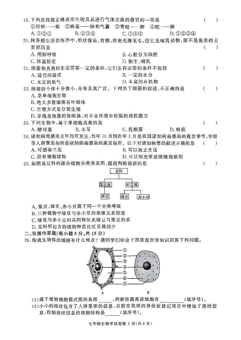 扫描件_七年级学业水平考试卷第3页
