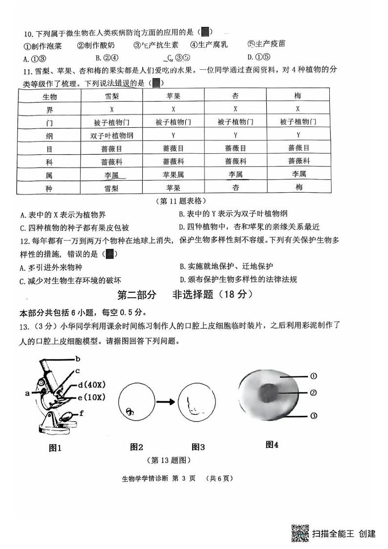 辽宁省沈阳市大东区2024-2025学年七年级上学期期末考试生物试卷第3页