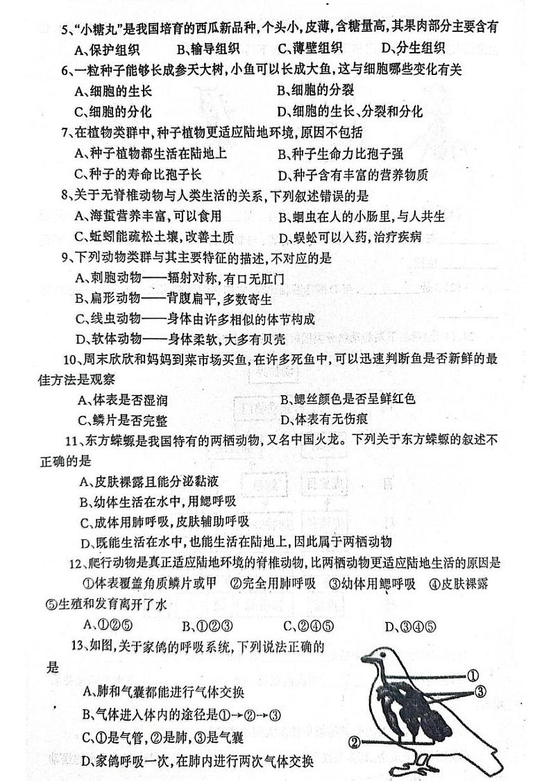 辽宁省丹东市凤城市2024-2025学年七年级上学期1月期末生物试题第2页