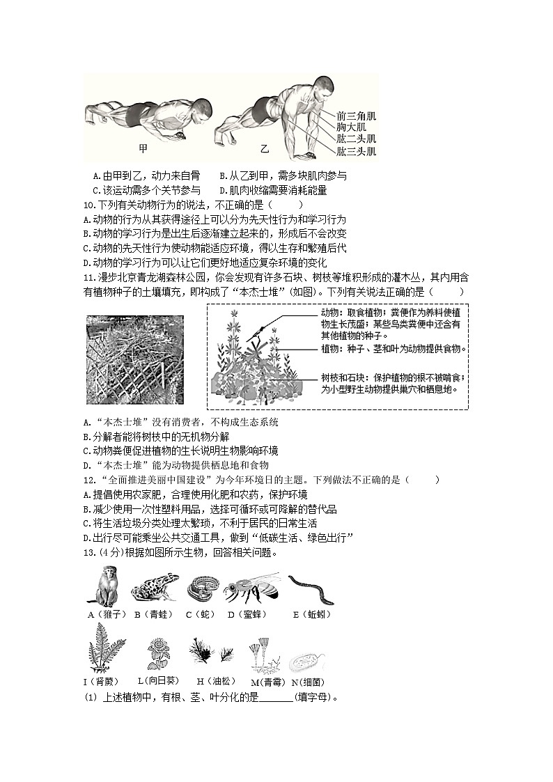 沈阳市于洪区2024-2025学年度八年上学期生物期末考试第2页