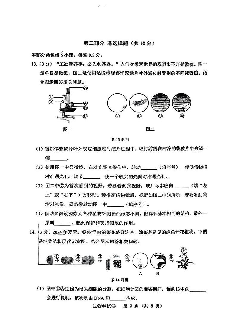 辽宁省铁岭市2024-2025学年七年级上学期期末考试生物试卷第3页