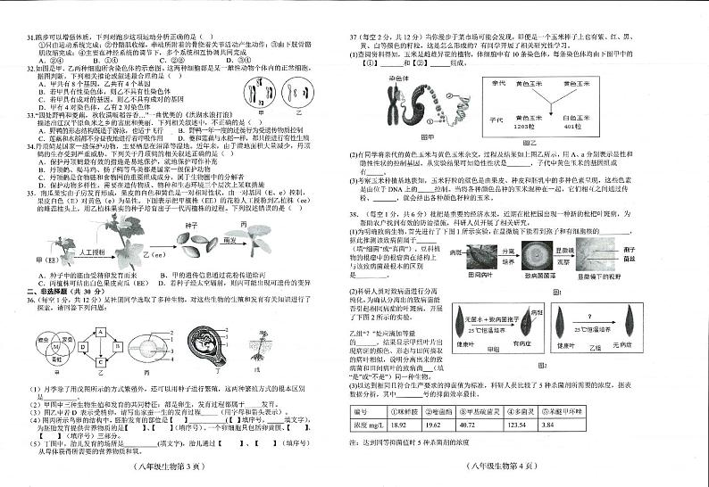 海南省临高县2024-2025学年八年级上学期期末考试生物试题第2页
