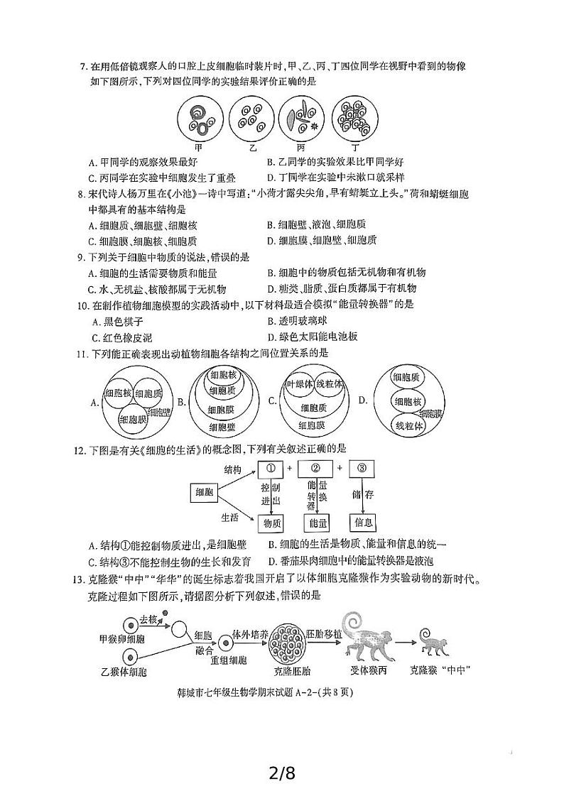 陕西省渭南市韩城市2024-2025学年七年级上学期期末考试生物试题第2页